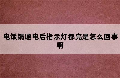 电饭锅通电后指示灯都亮是怎么回事啊