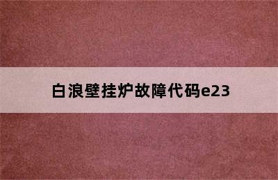 白浪壁挂炉故障代码e23