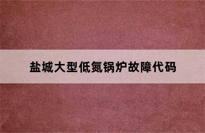 盐城大型低氮锅炉故障代码