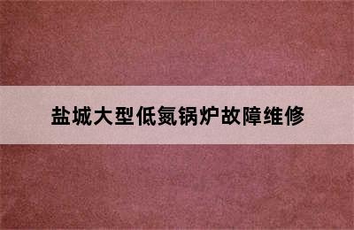 盐城大型低氮锅炉故障维修