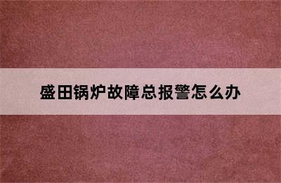 盛田锅炉故障总报警怎么办