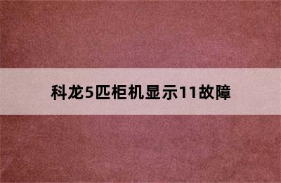 科龙5匹柜机显示11故障