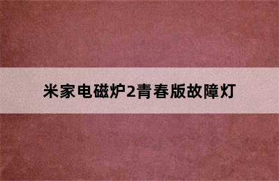 米家电磁炉2青春版故障灯