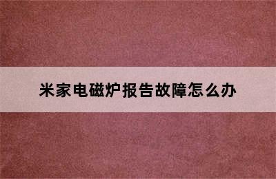 米家电磁炉报告故障怎么办