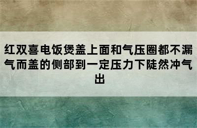 红双喜电饭煲盖上面和气压圈都不漏气而盖的侧部到一定压力下陡然冲气出