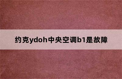 约克ydoh中央空调b1是故障