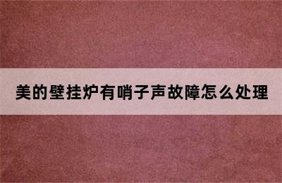 美的壁挂炉有哨子声故障怎么处理