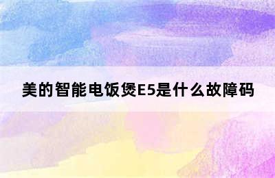 美的智能电饭煲E5是什么故障码