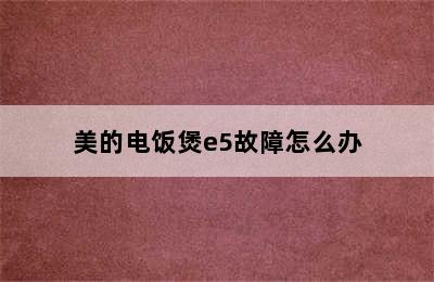 美的电饭煲e5故障怎么办