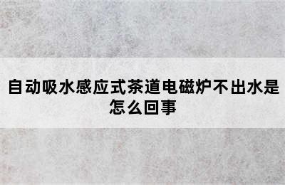 自动吸水感应式茶道电磁炉不出水是怎么回事