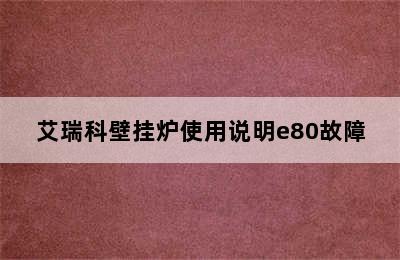 艾瑞科壁挂炉使用说明e80故障