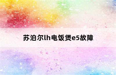 苏泊尔lh电饭煲e5故障