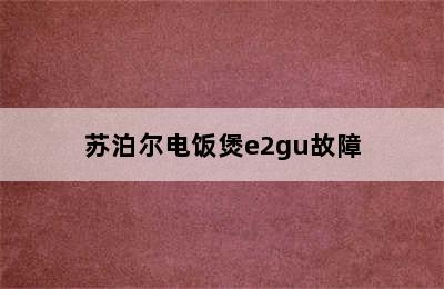 苏泊尔电饭煲e2gu故障