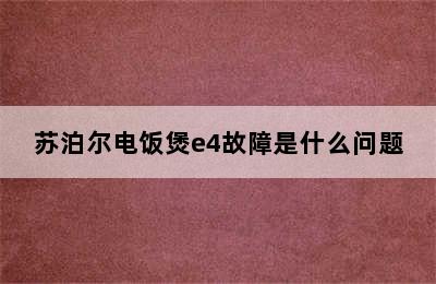 苏泊尔电饭煲e4故障是什么问题