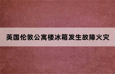 英国伦敦公寓楼冰箱发生故障火灾