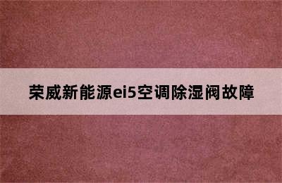 荣威新能源ei5空调除湿阀故障