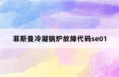 菲斯曼冷凝锅炉故障代码se01