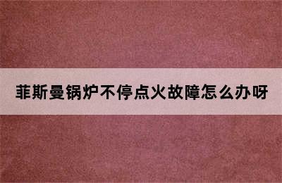 菲斯曼锅炉不停点火故障怎么办呀