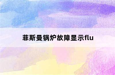 菲斯曼锅炉故障显示flu