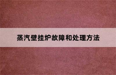 蒸汽壁挂炉故障和处理方法