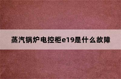 蒸汽锅炉电控柜e19是什么故障