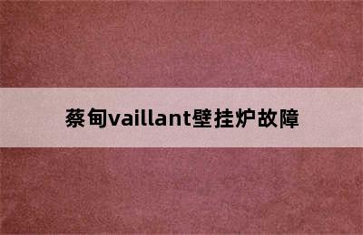 蔡甸vaillant壁挂炉故障