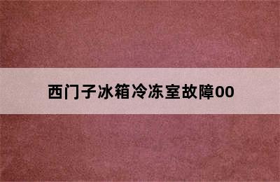 西门子冰箱冷冻室故障00