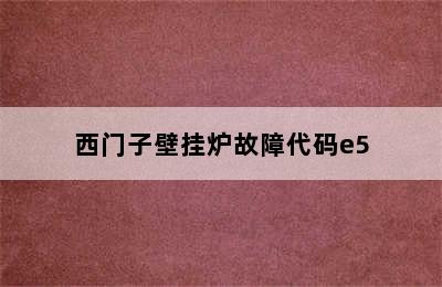 西门子壁挂炉故障代码e5