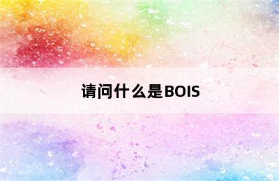 请问什么是BOIS