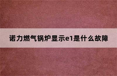 诺力燃气锅炉显示e1是什么故障