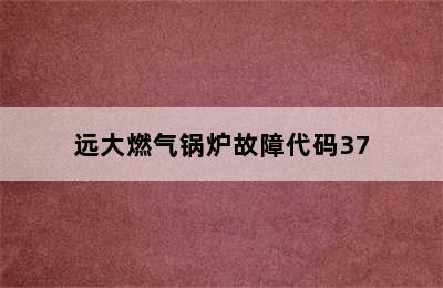 远大燃气锅炉故障代码37