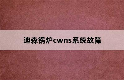 迪森锅炉cwns系统故障