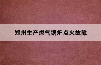 郑州生产燃气锅炉点火故障