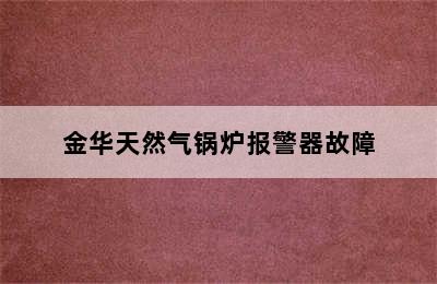 金华天然气锅炉报警器故障