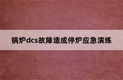 锅炉dcs故障造成停炉应急演练