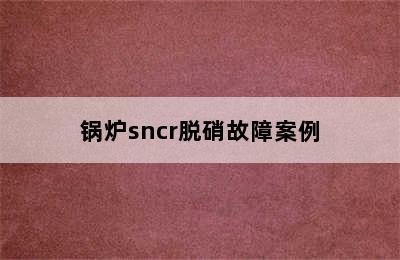 锅炉sncr脱硝故障案例