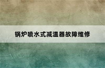 锅炉喷水式减温器故障维修