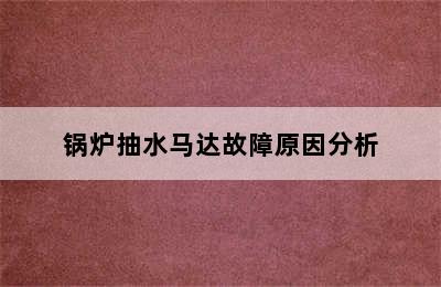 锅炉抽水马达故障原因分析