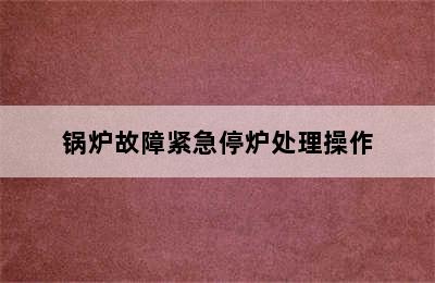 锅炉故障紧急停炉处理操作