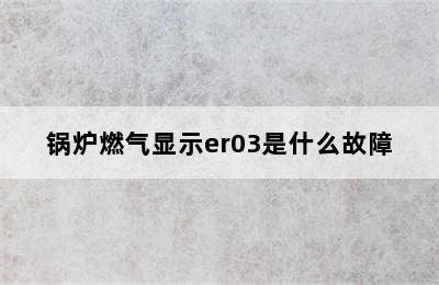 锅炉燃气显示er03是什么故障