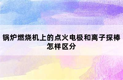 锅炉燃烧机上的点火电极和离子探棒怎样区分