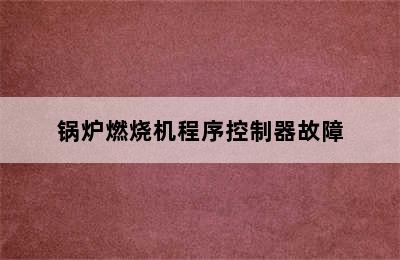 锅炉燃烧机程序控制器故障