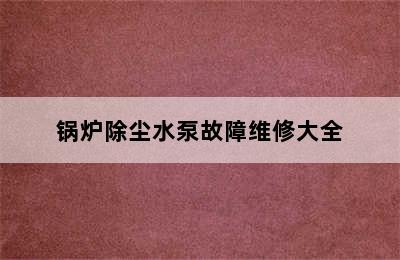 锅炉除尘水泵故障维修大全