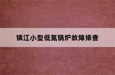 镇江小型低氮锅炉故障排查