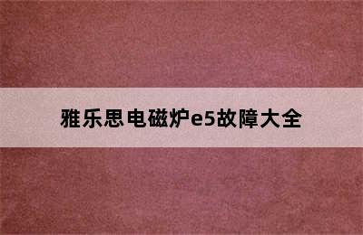 雅乐思电磁炉e5故障大全