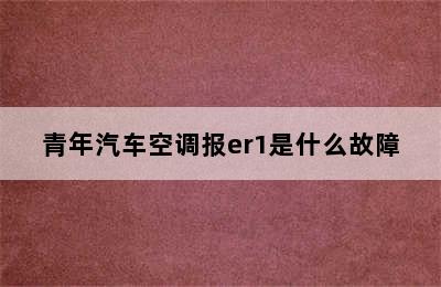 青年汽车空调报er1是什么故障