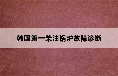 韩国第一柴油锅炉故障诊断