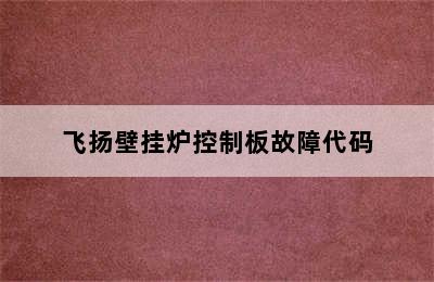 飞扬壁挂炉控制板故障代码