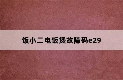 饭小二电饭煲故障码e29