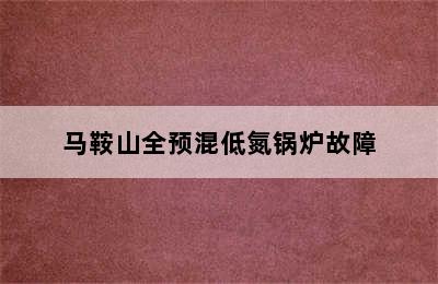 马鞍山全预混低氮锅炉故障